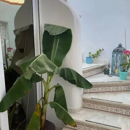 La Margarita Apartment, Club Tropicana Apartment