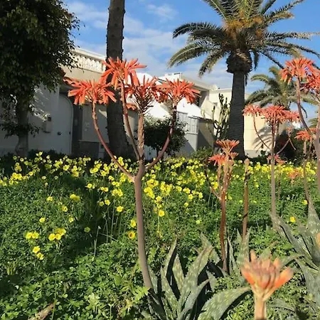 La Margarita Apartment, Club Tropicana Roquetas de Mar